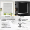 Blackout Cellular Window Shade