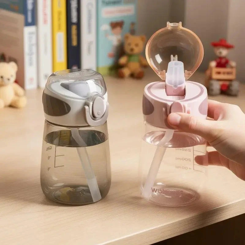 Transparent Leakproof Straw Water Bottle