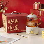 Mini Electric Health Pot