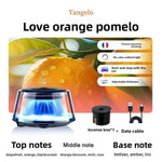 Scenic Fragrance Car Air Freshener