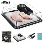 Electric Meat Defrosting Box