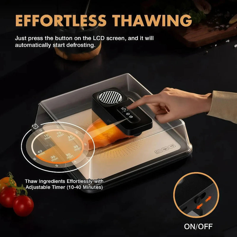 Electric Meat Defrosting Box